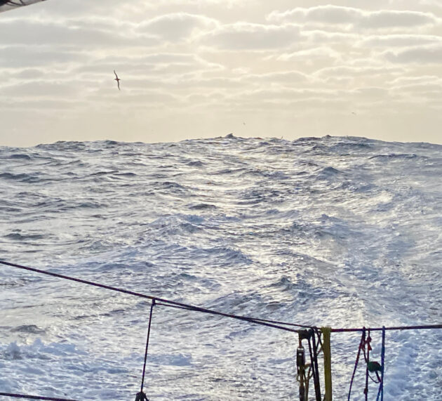 Vendée Globe, race leader Charlie Dalin is on another level